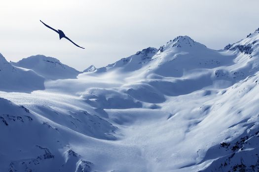 View on Elbrus Mount - the highest point of Europe. Russia. Caucasus