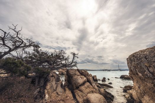 Rocky wild beach of Testa di Polpo in La Maddalena, Sardinia, Italy