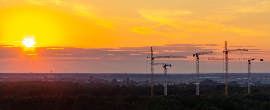 Several construction cranes on the background of colorful sunset sky.