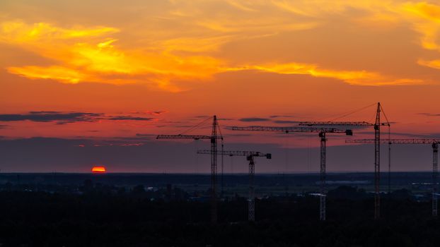 Several construction cranes on the background of colorful sunset sky.