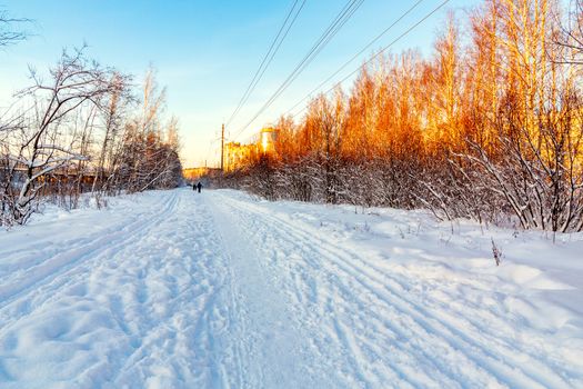 Ski track and footpath on the outskirts of the city.