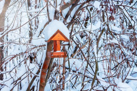 Feeder for birds in the winter park, titmouse eats food.