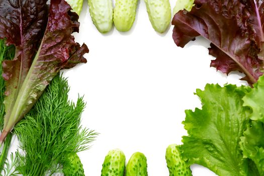 Background in the form of a frame with a place for text of fresh cucumbers, leaf lettuce and dill - ingredients for preparing summer salad of their vegetables, isolated on white.