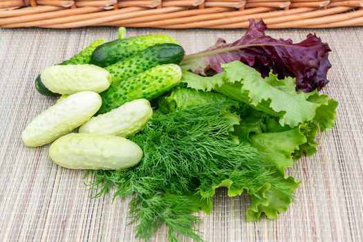 Multi-colored leaf lettuce, cucumbers, dill on a wicker napkin prepared for slicing salad.