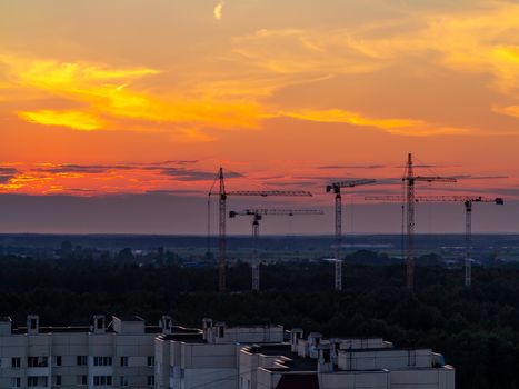 Several construction cranes on the background of colorful sunset sky.