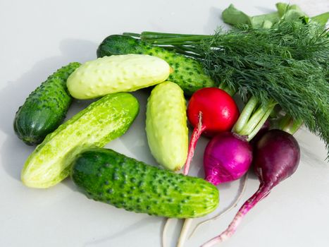 Cucumbers, radishes, dill on the white surface of the table.