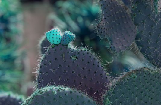 Surrealistic abstract glow thorny cactus with spikes and little fruits 