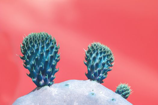 Surrealistic abstract blue thorny cactus with spikes and little fruits against pink orange sky