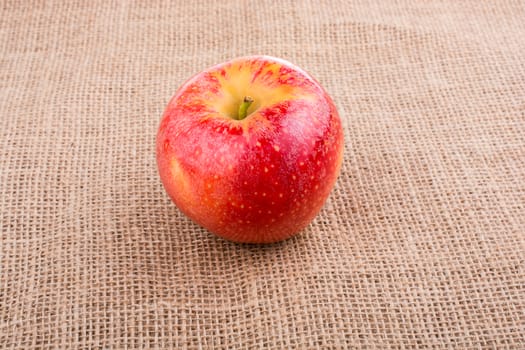 Fresh red apple placed on a canvas
