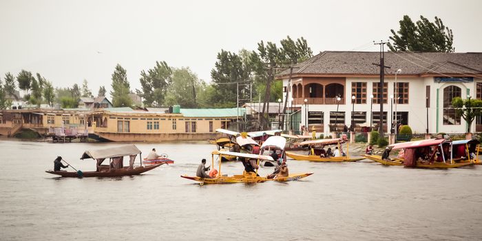 Dal Lake Jammu Kashmir, India May 2018 - Dal lake called Srinagar's Jewel for tourism recreation center. It is a wetland floating Mughal gardens divide four basins Gagribal, Lokut Dal, Bod Dal, Nigeen