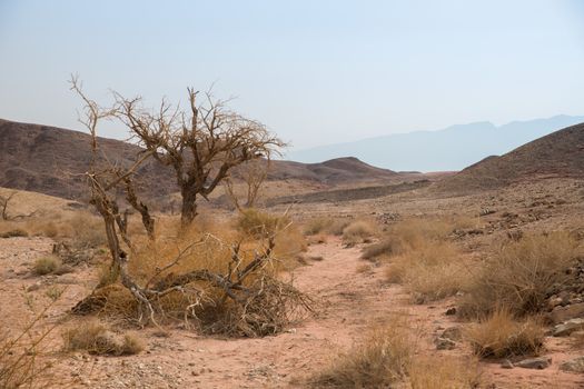 very dry and sandy timna national park in israel near Eilat