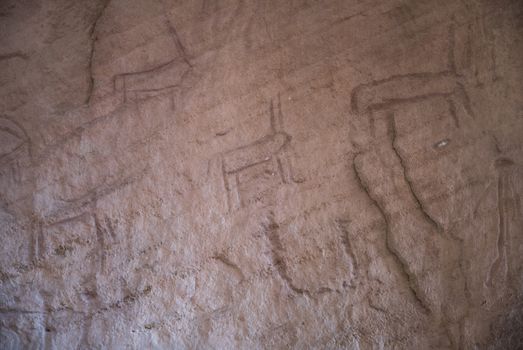 On the face of the external rock, dozens of rock drawings can be seen. Most of the drawings are of animals Ibex and ostrich deer and of hunters. On the rocks around are mining holes and tunnels.