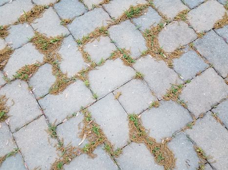 grey stone tiles and pollen on ground and weeds or grass