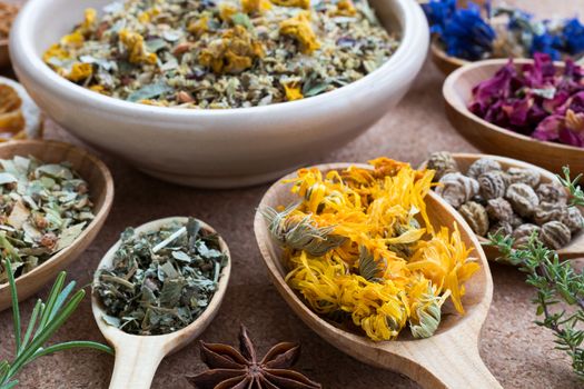 Dried calendula on a wooden spoon, with other herbs in the background (nasturtium seeds, cornflower, rose petals, star anise, thyme, rosemary, alchemilla)