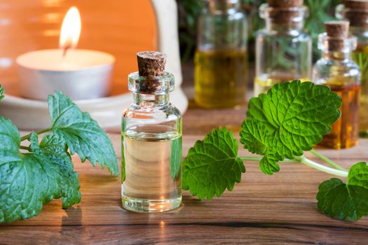 A bottle of melissa (lemon balm) essential oil with fresh melissa twigs, with an aroma lamp and other bottles in the background