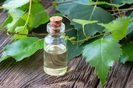 A bottle of essential oil with fresh birch branches