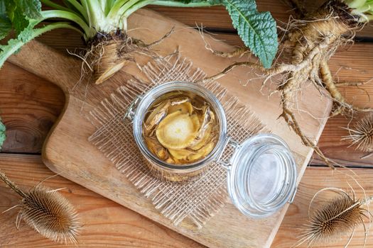 Preparation of alcohol tincture from wild teasel root - a folk remedy for lyme disease