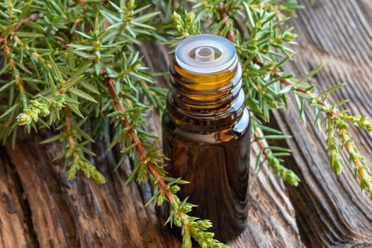 A bottle of essential oil with fresh juniper branches