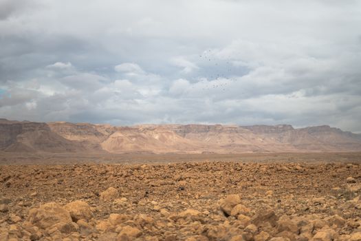 desert of israel near masada at the dead sea