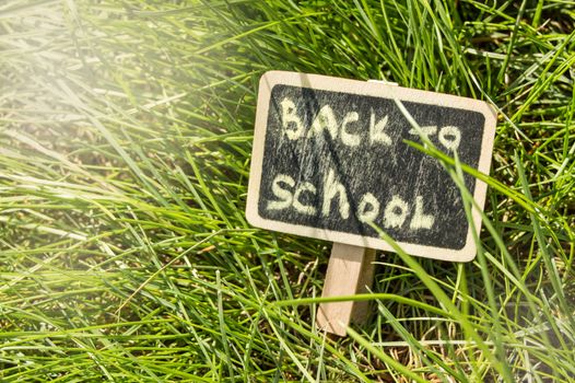 Sunlight falls on the green grass and the black Board with the inscription Back to school. The concept of education, training, teacher's Day.