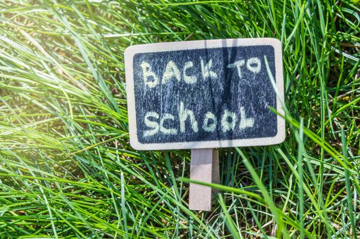 Sunlight falls on the green grass and the black Board with the inscription Back to school. The concept of education, training, teacher's Day.