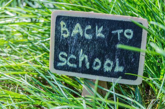 Sunlight falls on the green grass and the black Board with the inscription Back to school. The concept of education, training, teacher's Day.