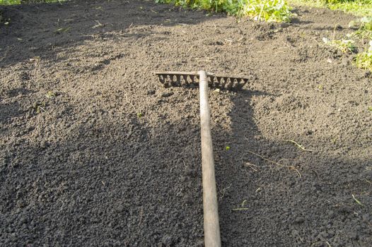 Garden rakes lying on the ploughed black soil for planting - the concept of gardening and farming, spring work in the garden.