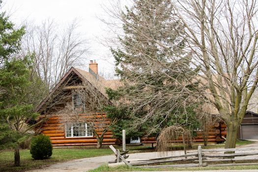 A beautiful wooden log house stands at the entrance to the forest park in early spring