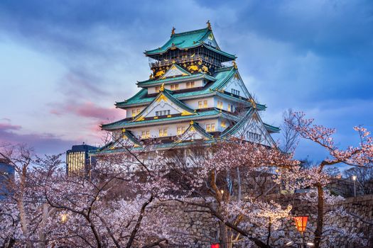 Cherry blossoms and castle in Osaka, Japan. 