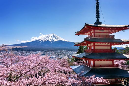 Cherry blossoms in spring, Chureito pagoda and Fuji mountain in Japan.