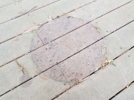 discolored or worn or weathered brown wood deck boards with algae and circular shape