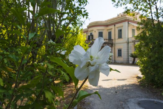 Corfu, Greece - August 26, 2018: View of Mon Repos palace in Corfu island at Greece