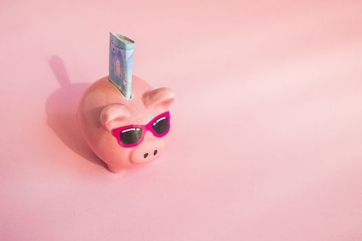 Concept of saving money on your trip or vacation pig piggy Bank with sunglasses on the bill of euros on a pink background, place for text.