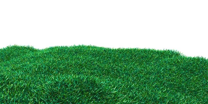 Background image of lush grass field. 3D illustration isolated on white background