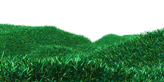 Background image of lush grass field. 3D illustration isolated on white background