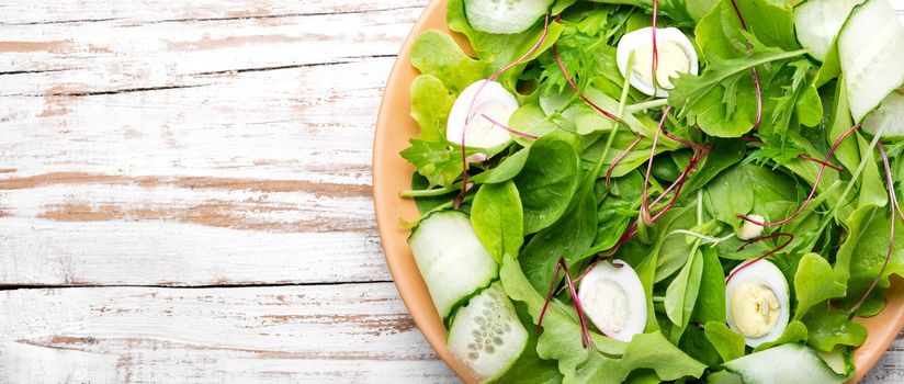 Healthy food.Vegetarian.Fresh green mix salad with microgreens