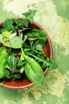 Fresh herb salad with spinach,arugula and lettuce.Green salad