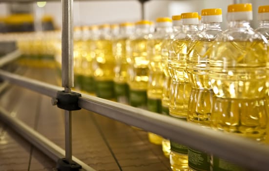 Sunflower oil in the bottle moving on production line. Shallow dof