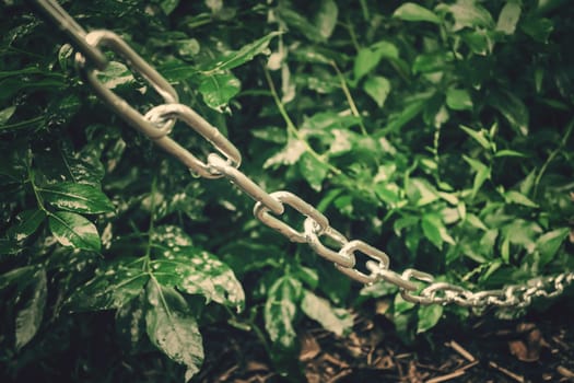 metal chain along the bushes in the park, the passage is blocked, a restricted area - photo, image. Selective soft focus.