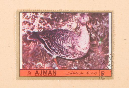 UNITED ARAB EMIRATES - CIRCA 1972: A stamp printed in the United Arab Emirates shows a bird (duck), circa 1972