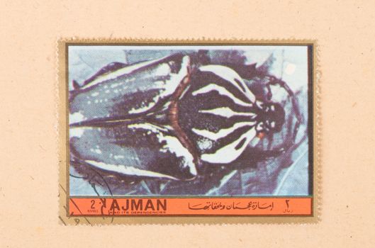 UNITED ARAB EMIRATES - CIRCA 1972: A stamp printed in the United Arab Emirates shows a beetle, circa 1972