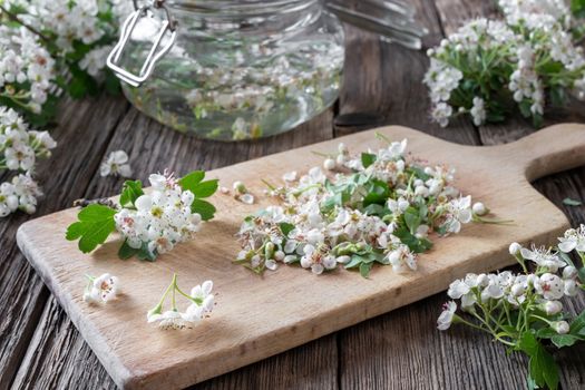 Preparation of herbal tincture for the heart from fresh hawthorn flowers and alcohol