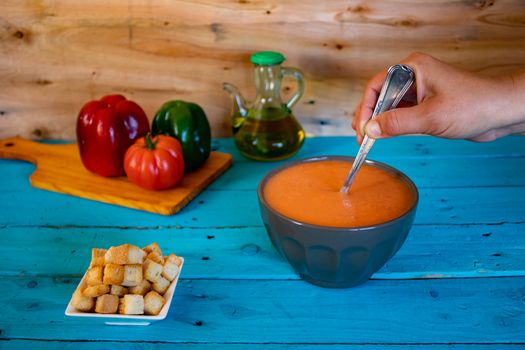 View of gazpacho, a typical Spanish meal with its ingredients in composition