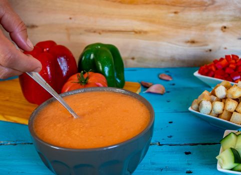 View of gazpacho, a typical Spanish meal with its ingredients in composition