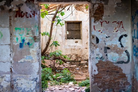 Abandoned house in ruins invaded by nature