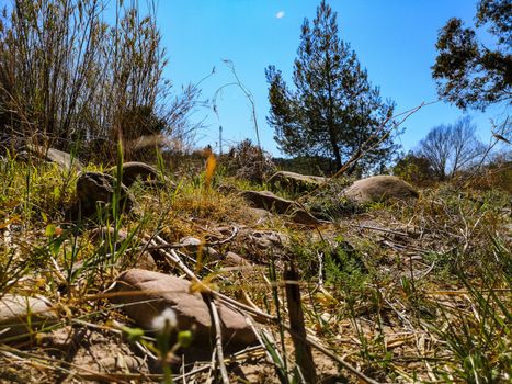 Landscape on the Palancia River bed as it passes through Sot de Ferrer
