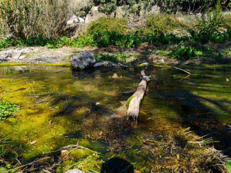 Landscape on the Palancia River bed as it passes through Sot de Ferrer