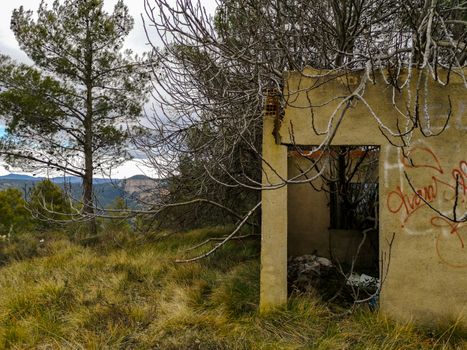 Abandoned house invaded by nature on the mountain