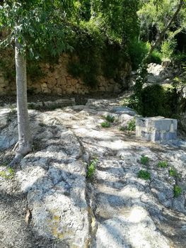 View of natural landscape with a stone wall at the bottom covered with plants
