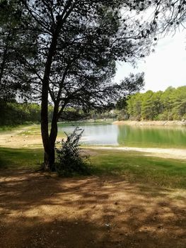 Reservoir practically dry with many pine trees around its perimeter